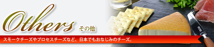 その他 スモークチーズやプロセスチーズなど、日本でもおなじみのチーズ。