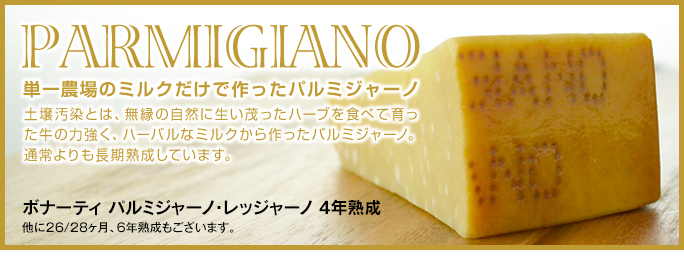 チーズ通販フロマージュボナーティ パルミジャーノ・レッジャーノ4年熟成